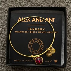 Alex and Ani Gold Bracelet with Red Crystal Charm